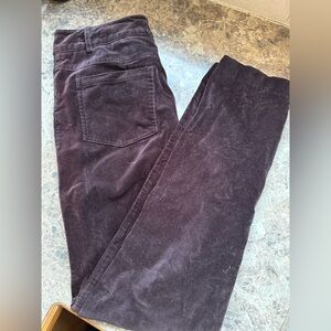 J. McLaughlin Chocolate Brown Velvet Pants